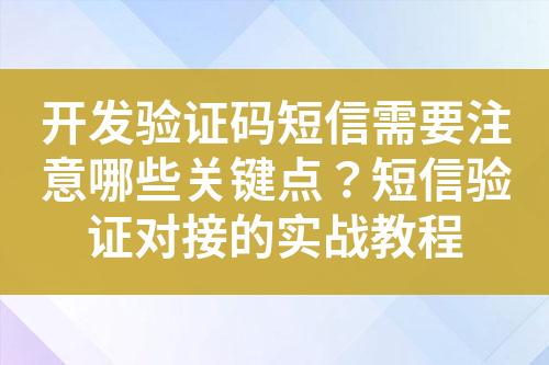 開發(fā)驗證碼短信需要注意哪些關鍵點?短信驗證對接的實戰(zhàn)教程