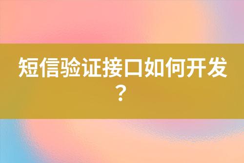 短信驗(yàn)證接口如何開發(fā)?