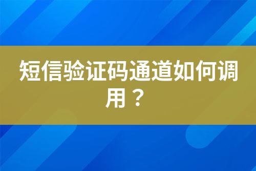 短信驗證碼通道如何調用?